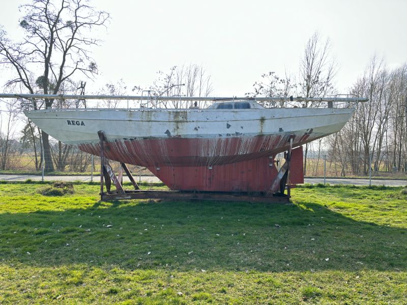 Plik:Rega-wiki.jpg